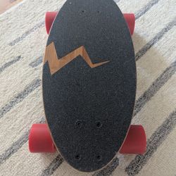 Eggborads Original Bamboo Mini Longboard Skateboard 