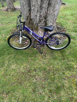 24” mountain bike (like new)