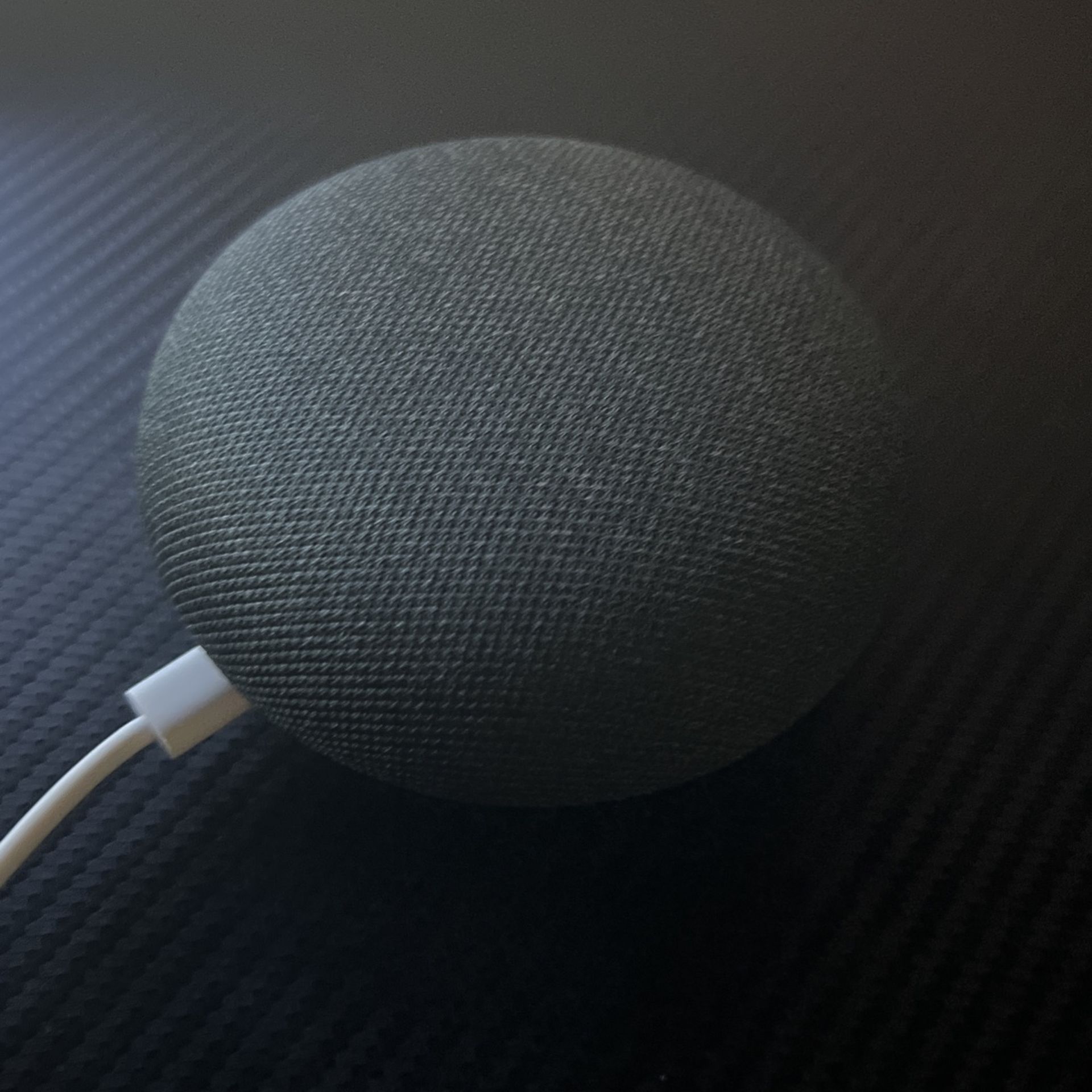 Google Nest (works Like Alexa)