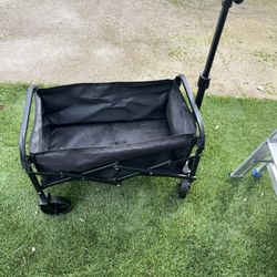 Little black wagon could be the whole plants or something around the yard or small enough for a child the pool toys or things around the yard