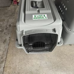 Small Dog Crate