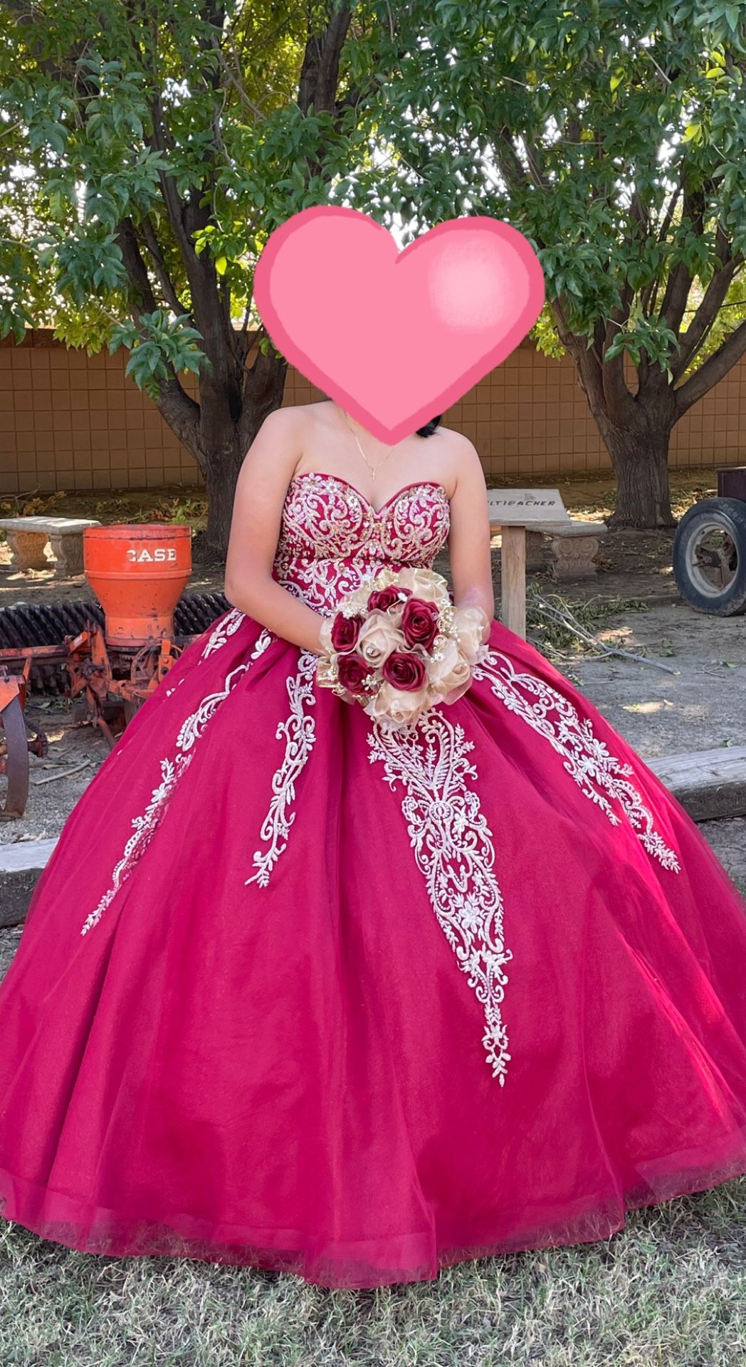 Quinceañera Dress