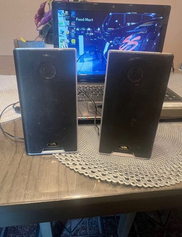 Mini Laptop USB Speakers With Case 