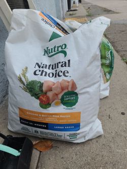 Dog food