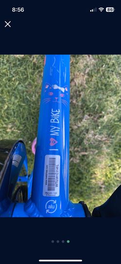 Trek Bike