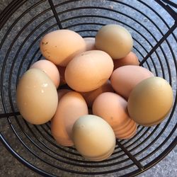 Farm Fresh Organic Eggs 