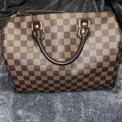 LV Speedy Bag