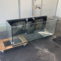 Red Sea 100 Gallon Glass Aquarium And Filter 