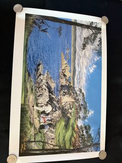 Lithograph of TIGER WOODS