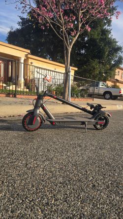 Electric adult scooter