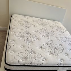 Queen Mattress