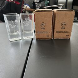 Princess House Moderna Shot Glasses