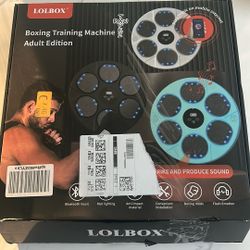 Boxing Training Machine 