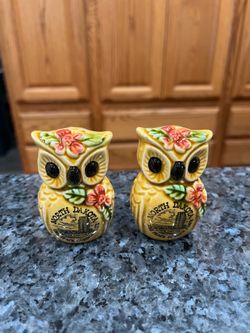 Ceramic Souvenir North Dakota State Capitol Owl Pair of Salt and Pepper Shakers.  Size approximately 2 3/4 inches tall.  Preowned.  Has been on displa