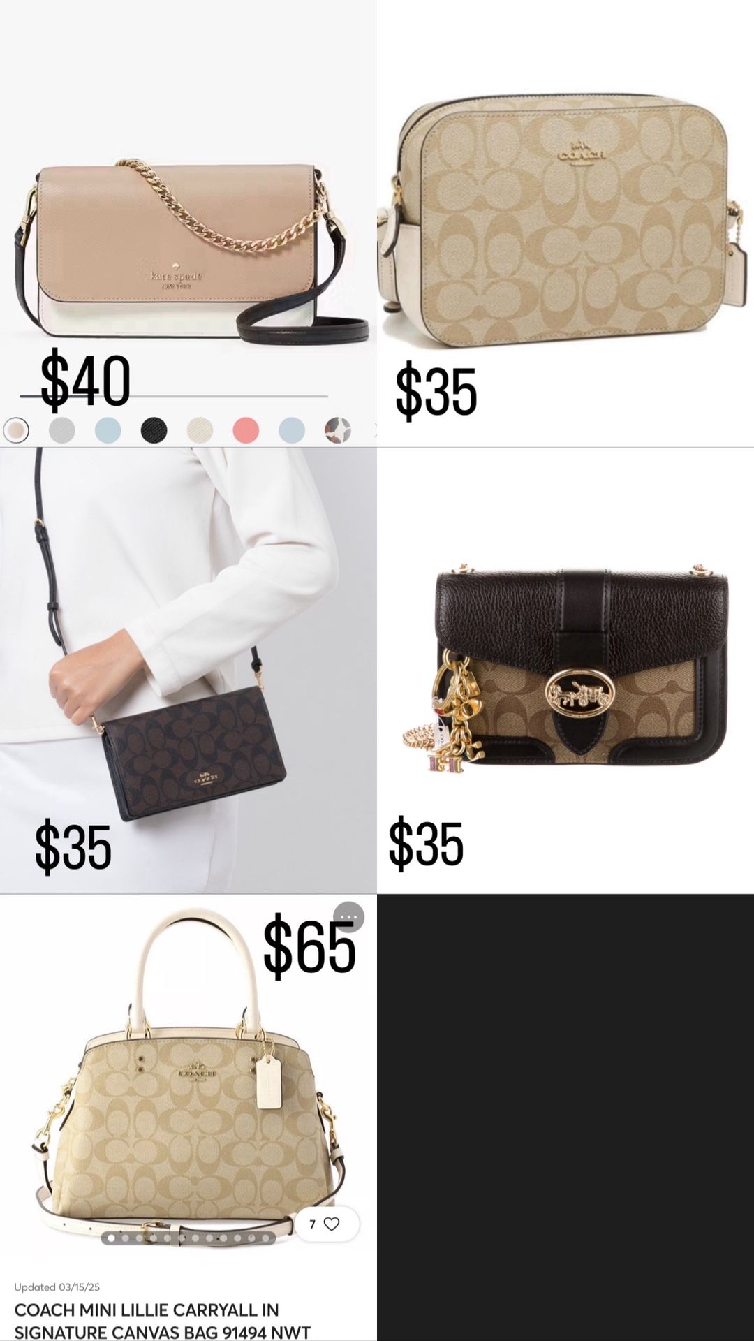 Coach Purses