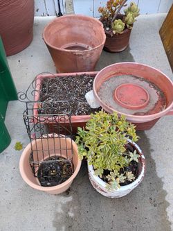 FREE GARDEN SUPPLIES!