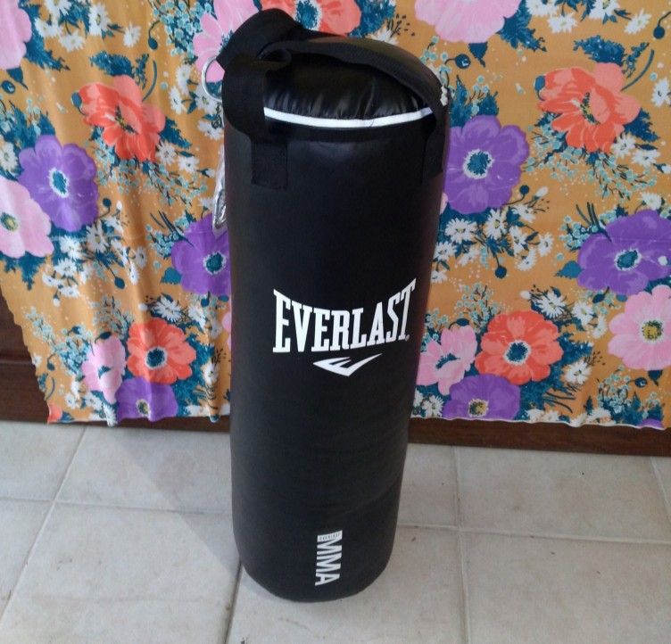 everlast mma bag 