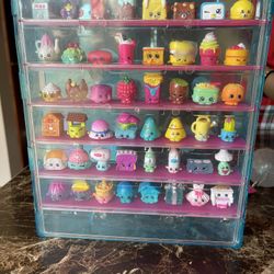 Shopkins In A Case