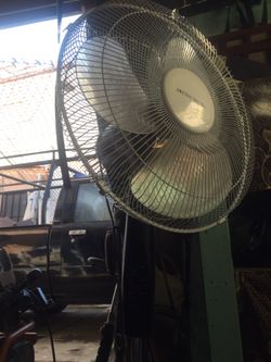 Fan