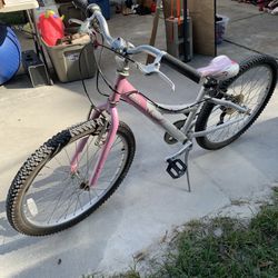 Girls 24” Trek Mountain Bike