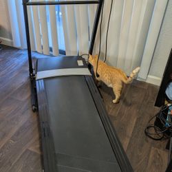 Foldable Electric Ancheer Treadmill 