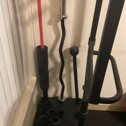 Curl Bar