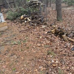 Firewood Free All Sizes
