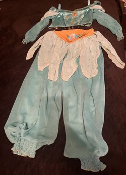 Princess Jasmine Costume
