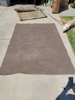 Beige Rug