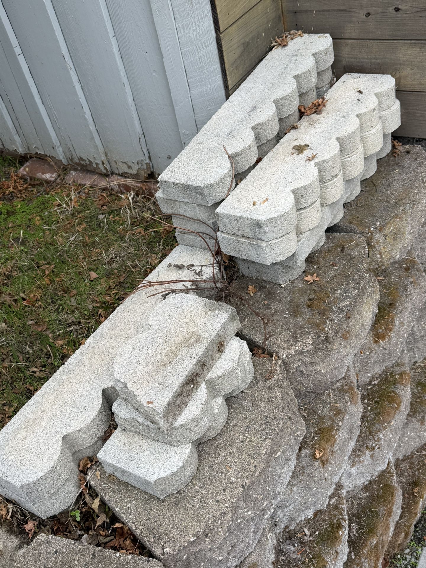 Free Landscape Boundary