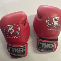 Boxing and Muay Thai gloves