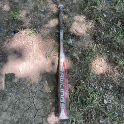 Bat
