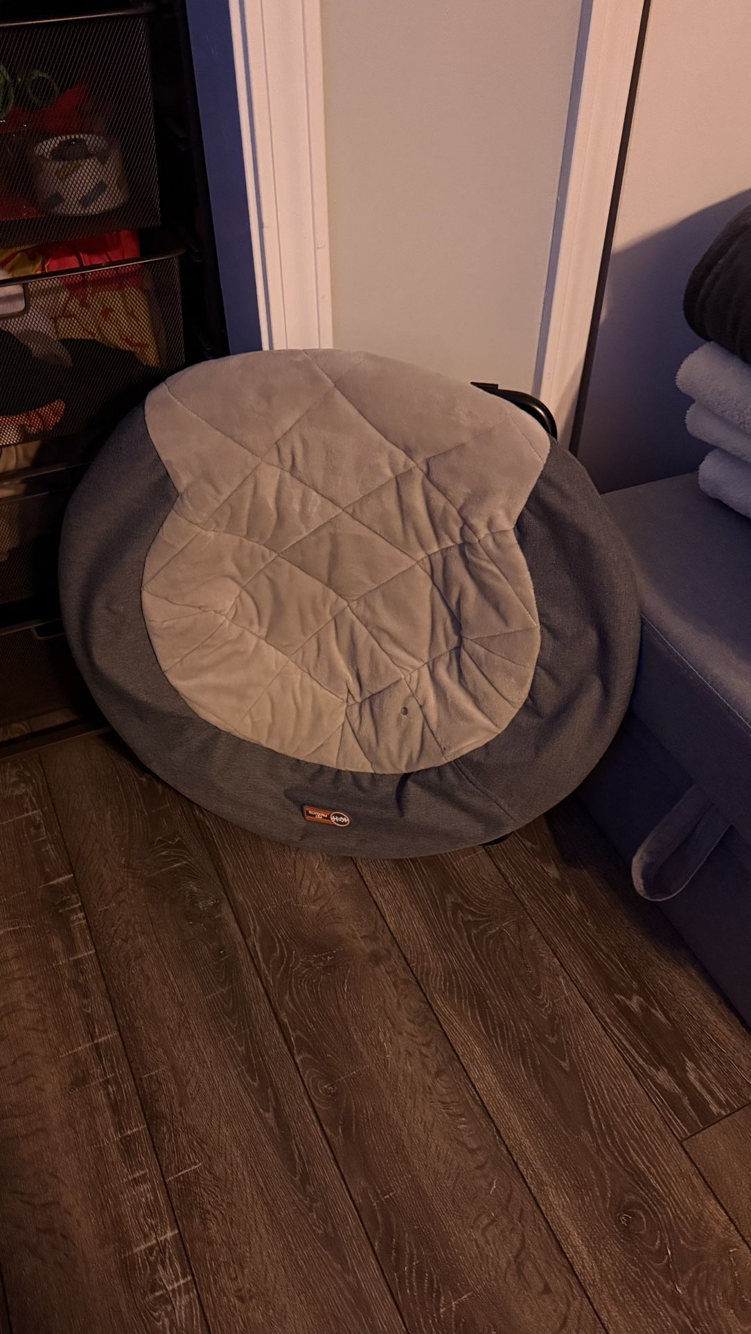 Pet Hammock