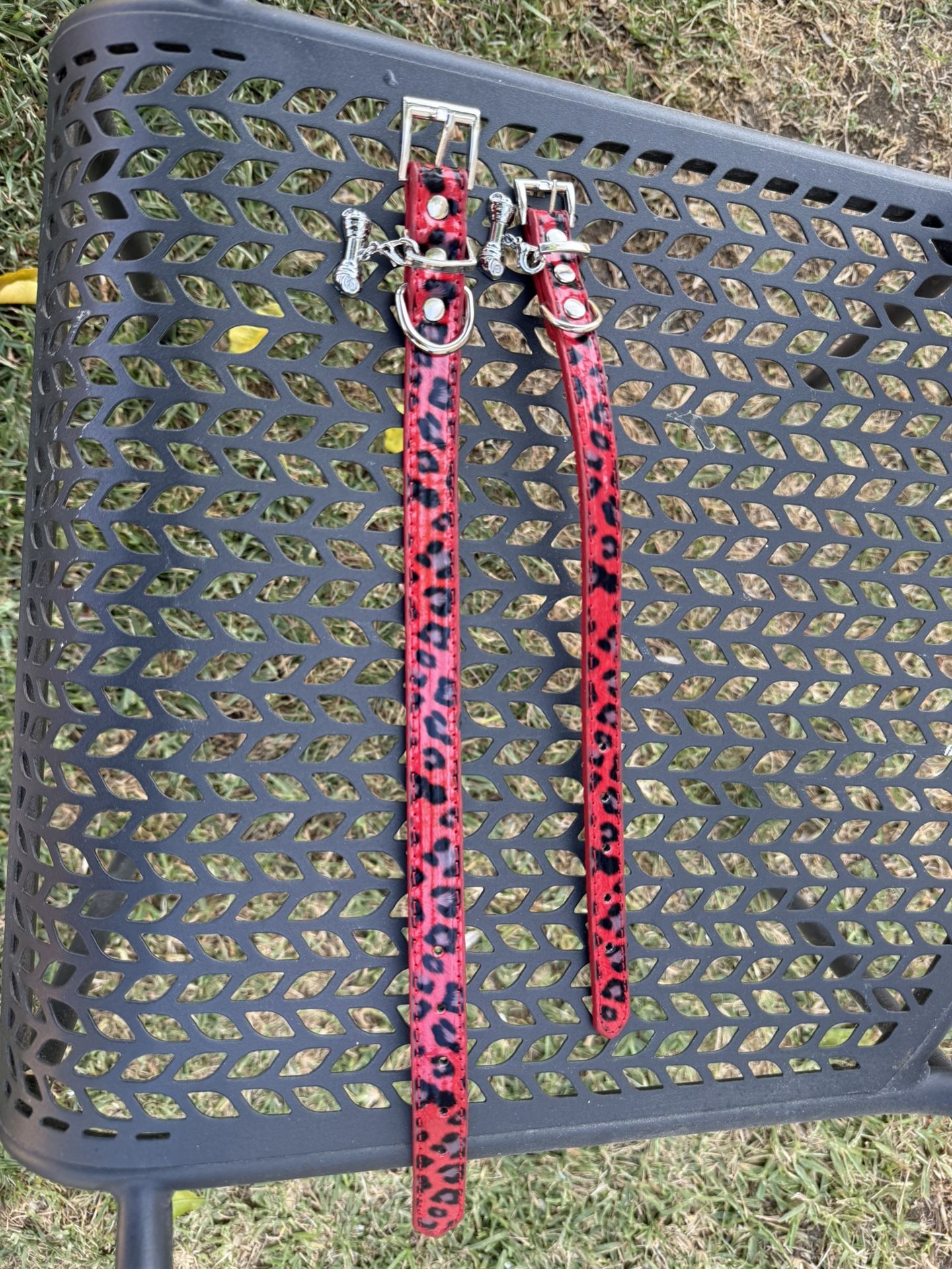 Small Dog / Pet Collars Red Cheetah