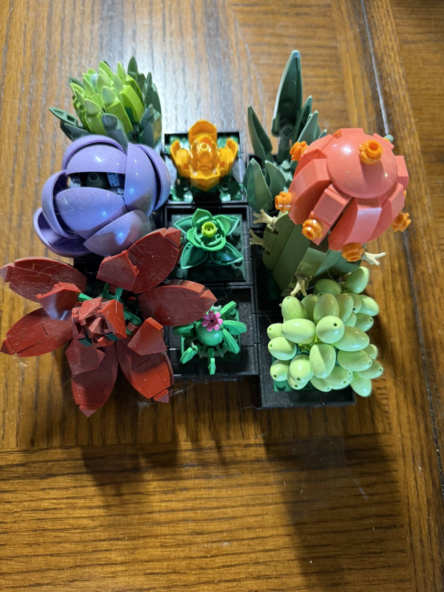 lego succulents set