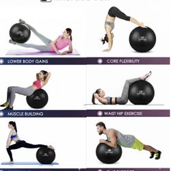 Exercise ball (pump included) New in box