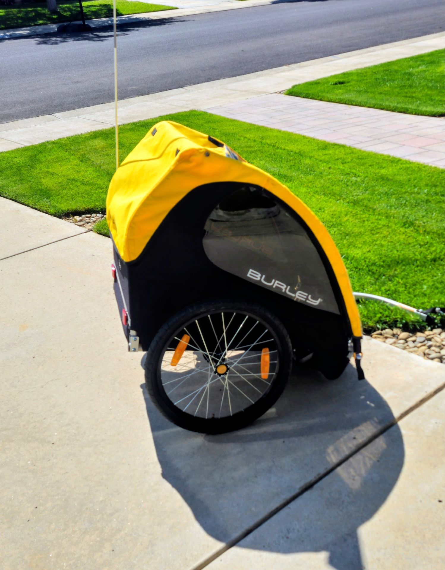 Bicycle Trailer W/Hitch