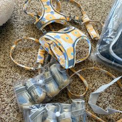 Cat Harness/Leash and Shoes