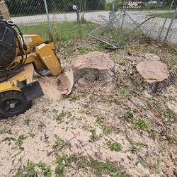 Stump Grinding 