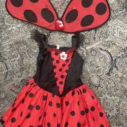 Kids Ladybug Costume Size 3/4
