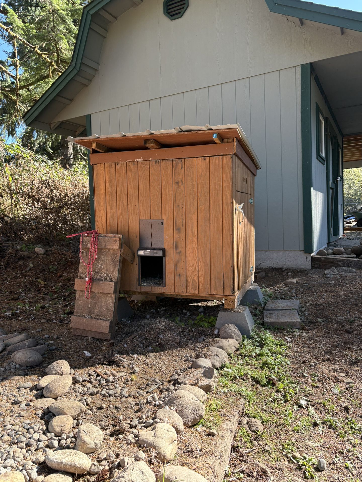 Duck Coop Or Animal House