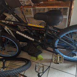 Mongoose rebel