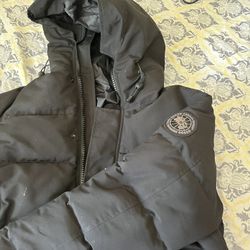 Black Canada Goose