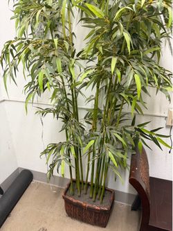 Big large fake plant 🌱 I love it 😍