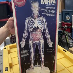 Skilcraft "Visible Man" Anatomy Kit, a popular vintage educational toy first introduced in 1959.  Manufacturer: Skilcraft (originally Renwal). Feature