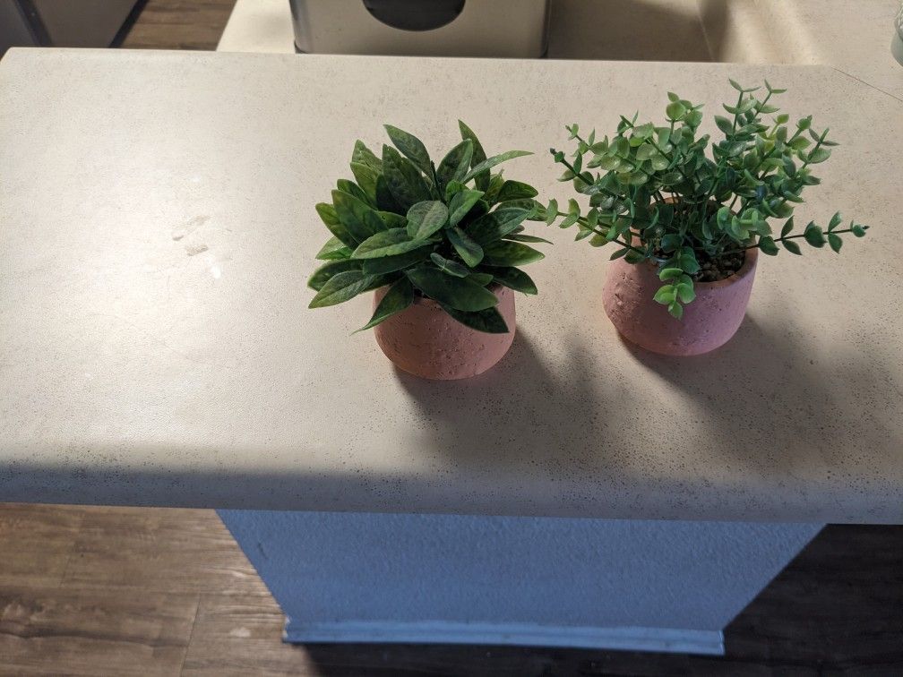 Two Small Fake Cactus