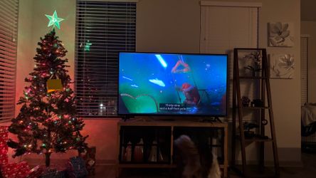 65” Vizio Flat Screen TV