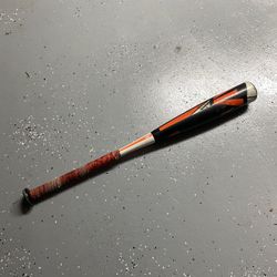 Easton S2 Baseball Bat 29” -10 USSSA