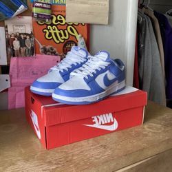 Sz 10 Polar Blue Dunks