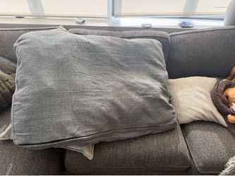Large dog bed